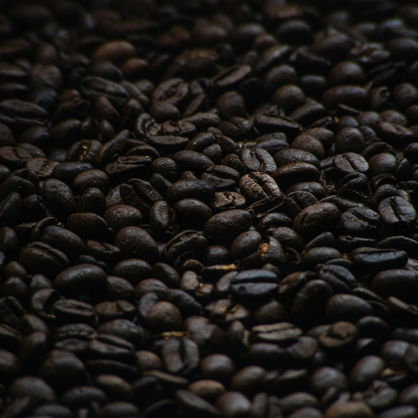 Beanine Black Blend (100% Arabica)